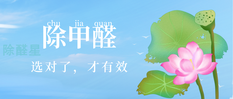 如何选择一家靠谱的效果好的除甲醛公司20 如何选择一家靠谱的效果好的除甲醛公司26